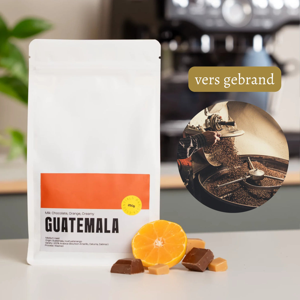 Guatemala Koffiebonen – de beste keuze voor een latte of cappuccino.