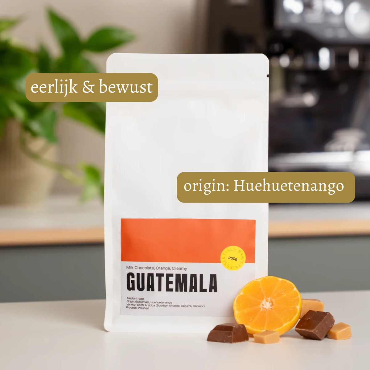 Zakje Guatemala Koffiebonen, 500 gram – ideaal voor dagelijks gebruik.