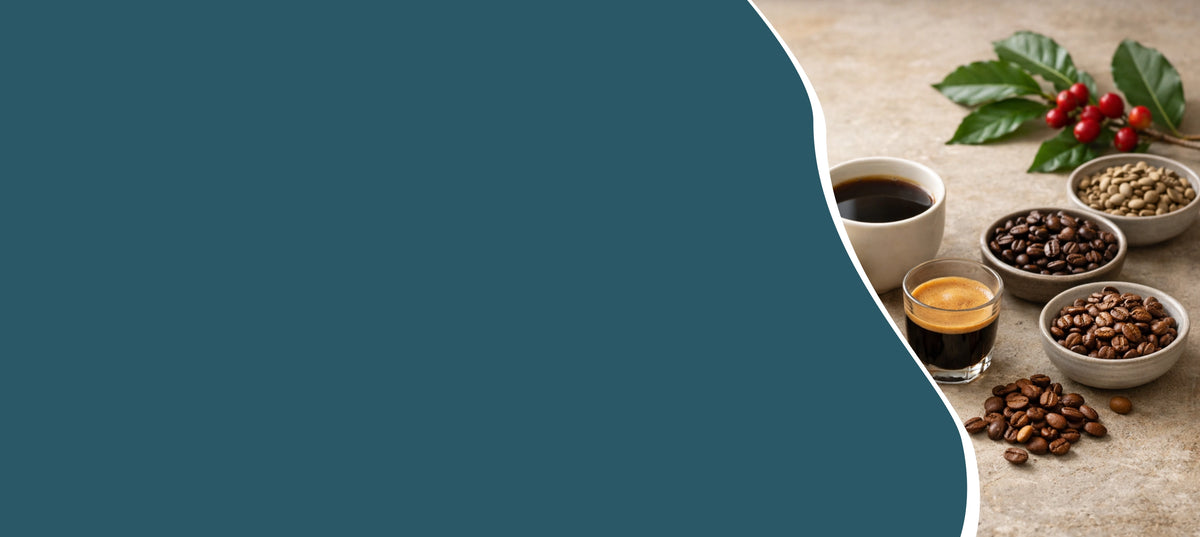 Hero banner met verschillende koffiebonen, gezette koffie en koffie cherries als visuele uitleg van koffievariëteiten en smaakverschillen