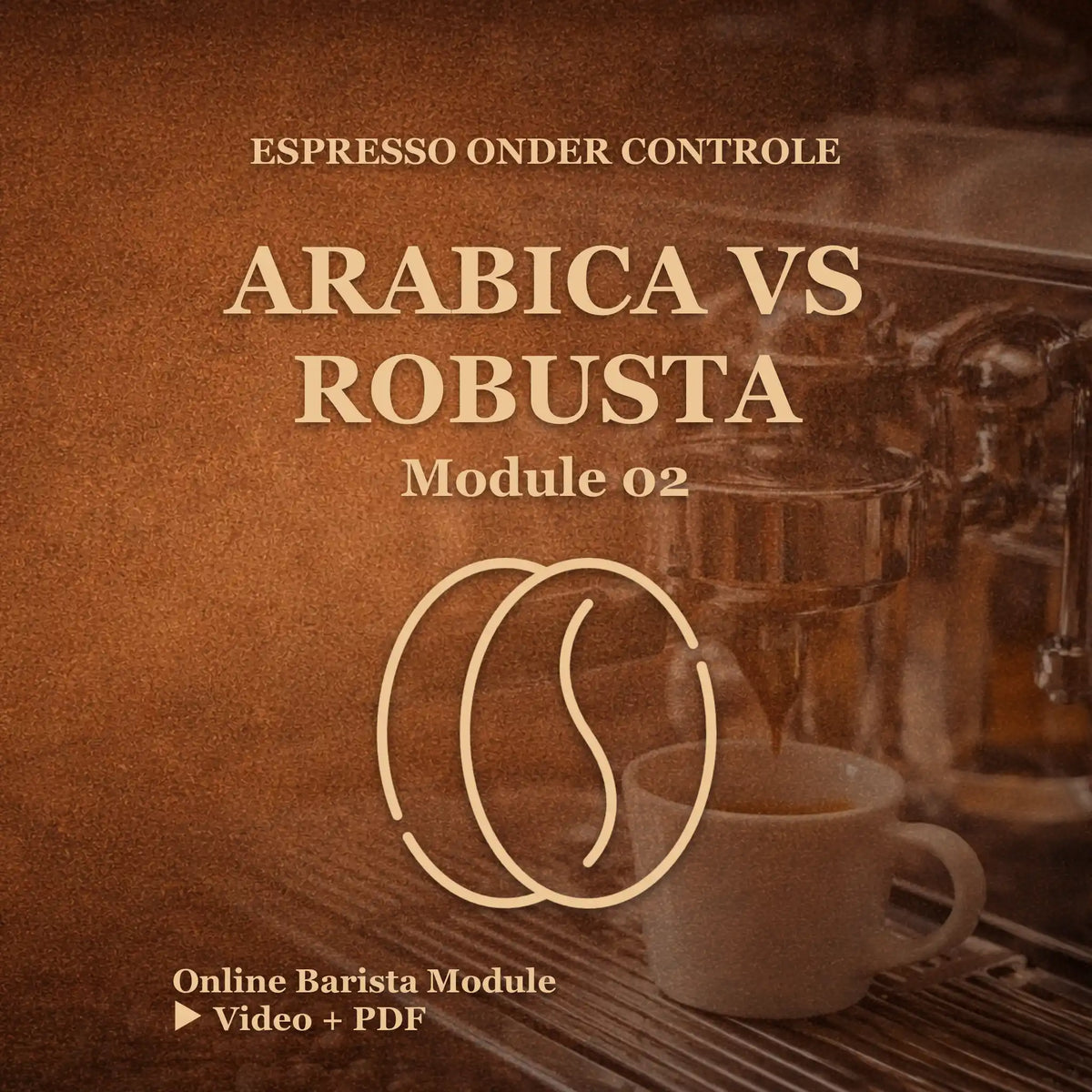 Online barista module arabica vs robusta kiezen voor espresso koffiebonen uitleg