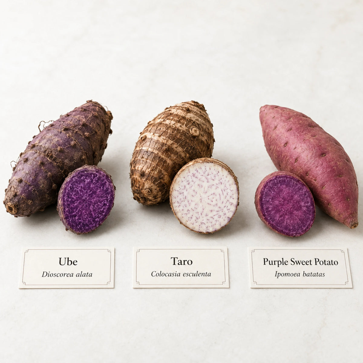 Paarse ube, taro en paarse zoete aardappel naast elkaar met de botanische namen Dioscorea alata, Colocasia esculenta en Ipomoea batatas.